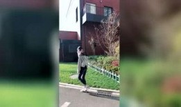 吃瓜侦探受刑,揭秘背后真相与悬疑