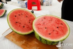 上海500人吃瓜,吃瓜狂欢盛况空前