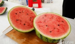 上海500人吃瓜,吃瓜狂欢盛况空前