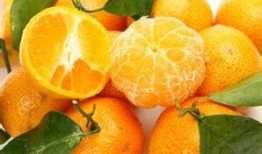 橘子直播间吃瓜,吃瓜群众狂欢，揭秘娱乐圈幕后故事