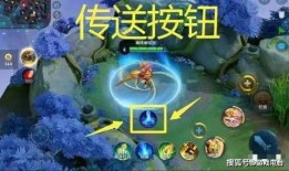 王者吃瓜树叶,揭秘树叶背后的神秘故事