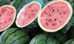 网友吃瓜现状,揭秘网友们的“瓜田”生活