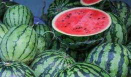 吃瓜吃瓜是什么,揭秘“吃瓜吃瓜”背后的网络文化现象