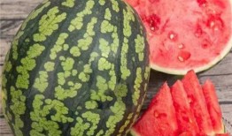 吃瓜吃大瓜,揭秘吃瓜吃大瓜的狂欢之旅