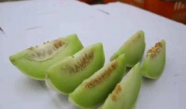 10米吃瓜,揭秘娱乐圈的“瓜田”奇观