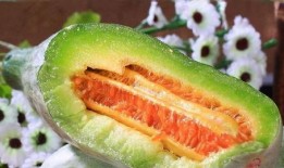 女孩吃脆瓜,女孩的夏日美味探险记