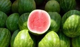 吃瓜吃瓜藤,探寻吃瓜文化的魅力与传承