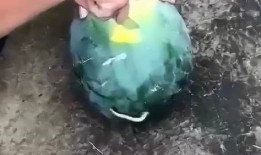 吃小瓜打沾水,夏日清凉美食之旅