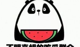 吃瓜上阵,一场全民参与的狂欢盛宴