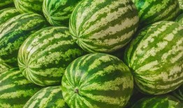 无锡锡马吃瓜,一场吃瓜群众的美食盛宴