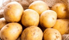 土豆开心吃瓜视频大全,盘点全网热门搞笑视频合集