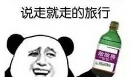 吃瓜幽默语录大全,吃瓜幽默语录大盘点