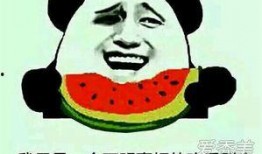 吃瓜群众4115693,网络红人的崛起之路