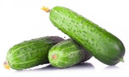 颐和绿洲吃瓜,瓜果飘香，共享清凉时光