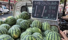 探店吃瓜,揭秘美食背后的故事与秘密