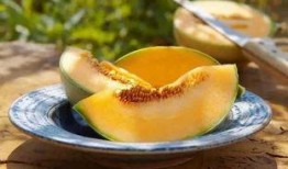 藤蜜瓜怎么吃,藤蜜瓜的多重美味吃法探索