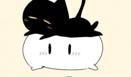 小团子吃瓜,揭秘娱乐圈那些不为人知的幕后故事