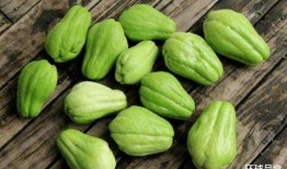 吃肉又吃瓜,探寻美食与娱乐的双重享受