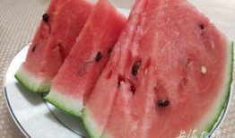 上海500人吃瓜,吃瓜狂欢盛况空前