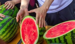 17吃瓜免费,揭秘娱乐圈幕后真相，带你领略明星生活