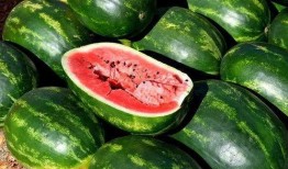 看热闹吃瓜素材,看热闹吃瓜，揭秘明星幕后故事