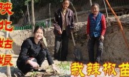 江山老师吃瓜事件,揭秘网络舆论背后的真相