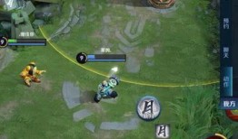 王者吃瓜树叶,揭秘树叶背后的神秘故事