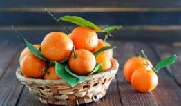 橘子直播间吃瓜,吃瓜群众狂欢，揭秘娱乐圈幕后故事