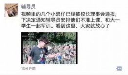 吃瓜学长ins,揭秘“吃瓜学长”Ins背后的故事与影响力