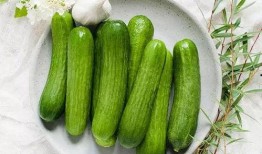 10米吃瓜,揭秘娱乐圈的“瓜田”奇观