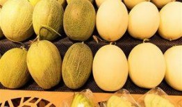 冬天吃西瓜后吃哈密瓜,冬日西瓜与哈密瓜的甜蜜邂逅