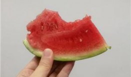 上海吃瓜10万,揭秘瓜界传奇！