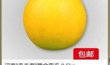 吃冷冻黄金蜜瓜,尽享黄金蜜瓜美味之旅