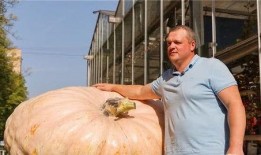 战斗民族吃瓜熊叔,吃瓜群众的独特视角