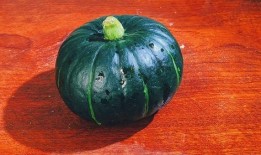 什么瓜蒸着吃有营养,揭秘营养丰富的蒸瓜食用之道