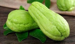 佳明吃的瓜,探寻佳明瓜的独特魅力