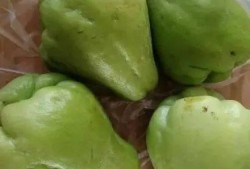 吃的小肚肚疼瓜,揭秘引发腹痛的神秘瓜果