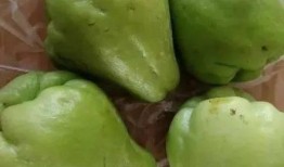 吃的小肚肚疼瓜,揭秘引发腹痛的神秘瓜果