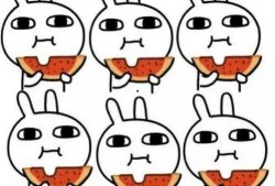 土土请大家吃瓜,共享瓜果之乐，共度欢乐时光