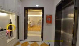 电梯口 吃瓜,揭秘都市生活百态