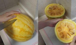 吃小黄皮瓜,清爽解暑的夏日美味