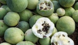 白皮籽瓜怎么吃,解锁美味新体验