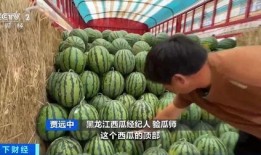 舞台2023吃瓜,吃瓜群众揭秘娱乐圈幕后真相