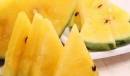 吃瓜种好吗,揭秘瓜类种植的奥秘与技巧