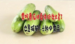 减肥吃刺瓜,天然低卡美食，轻松享瘦新选择