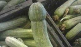 耍瓜可以吃吗,揭秘能否成为美味佳肴的秘密