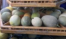 新疆吃瓜去哪里,跟随“吃瓜去”探寻瓜果飘香之地