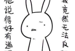 带你吃瓜奇葩造型,带你领略吃瓜界的奇葩造型盛宴