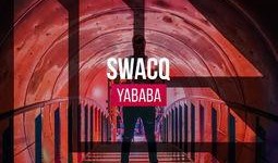 吃瓜观众yababa,揭秘娱乐圈幕后故事