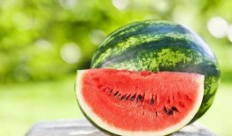 西瓜吃瓜程序,轻松解锁夏日消暑新体验